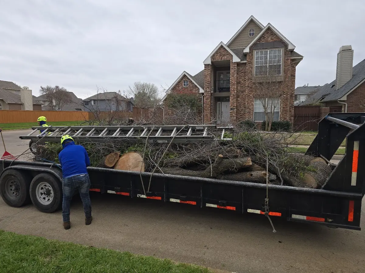 Expert Lot Clearing with proper safety equipment in Hiwasse